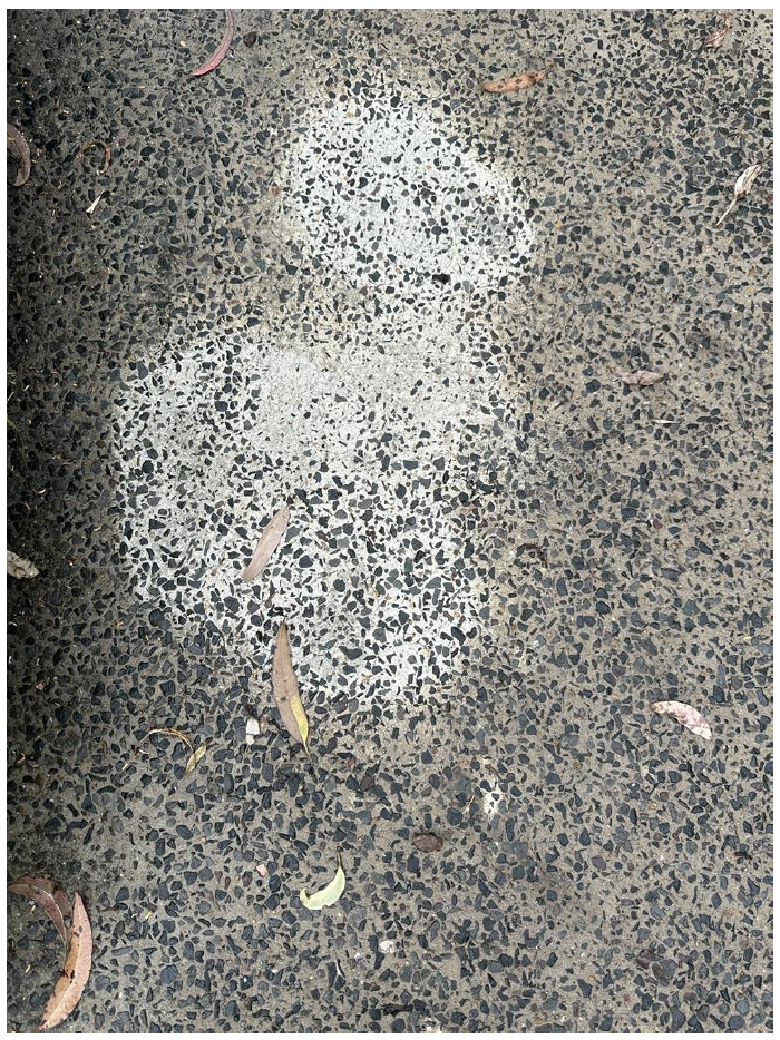 Stain Protector™ Sealer for natural stone, pavers, polished concrete